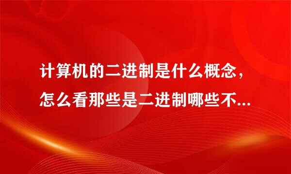 计算机的二进制是什么概念，怎么看那些是二进制哪些不是二进制