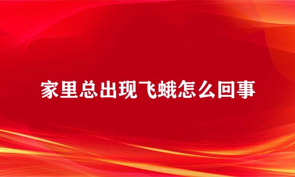 家里总出现飞蛾怎么回事