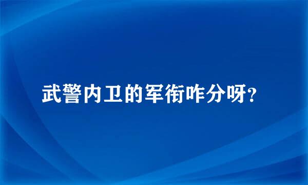 武警内卫的军衔咋分呀？