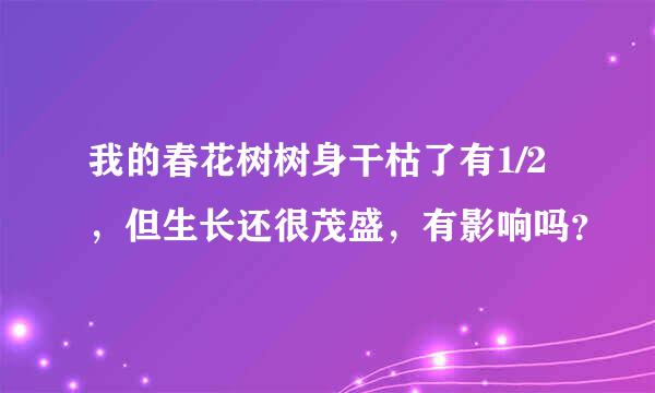 我的春花树树身干枯了有1/2，但生长还很茂盛，有影响吗？