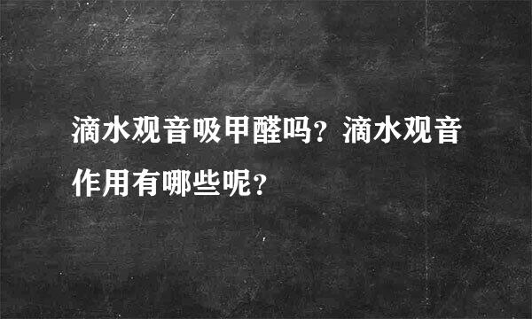 滴水观音吸甲醛吗？滴水观音作用有哪些呢？