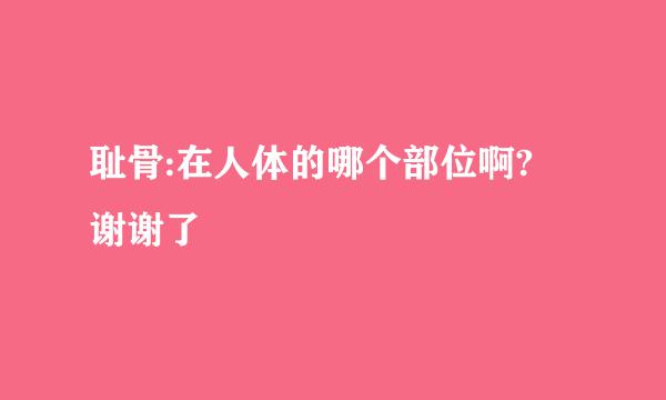 耻骨:在人体的哪个部位啊?  谢谢了