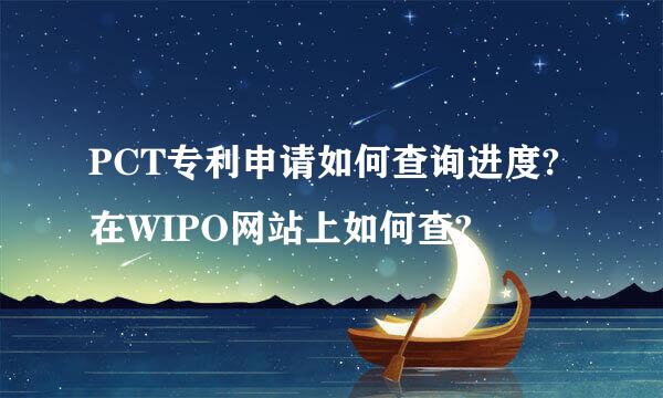 PCT专利申请如何查询进度?在WIPO网站上如何查?