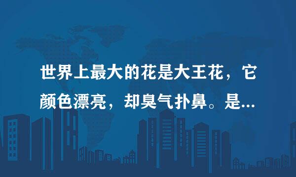 世界上最大的花是大王花，它颜色漂亮，却臭气扑鼻。是对的吗？