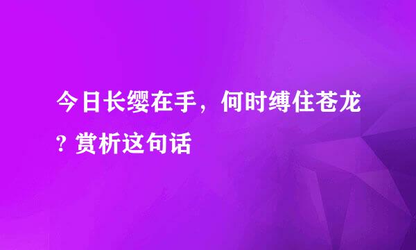 今日长缨在手，何时缚住苍龙? 赏析这句话