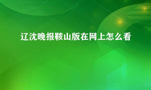 辽沈晚报鞍山版在网上怎么看