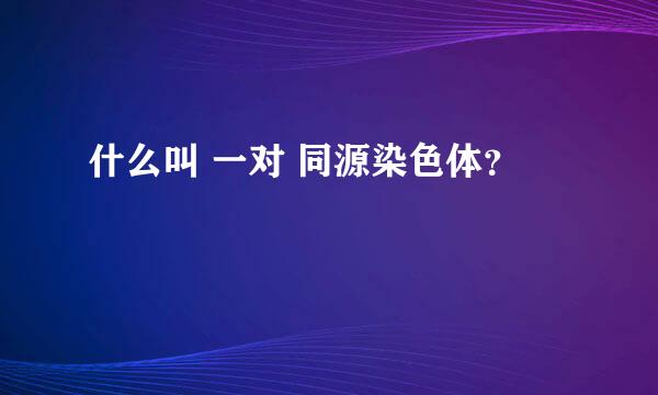 什么叫 一对 同源染色体？