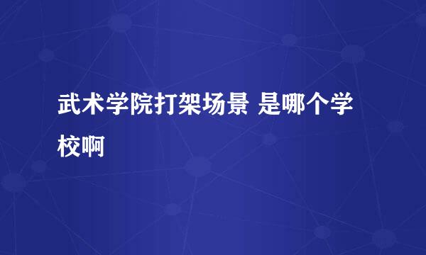 武术学院打架场景 是哪个学校啊