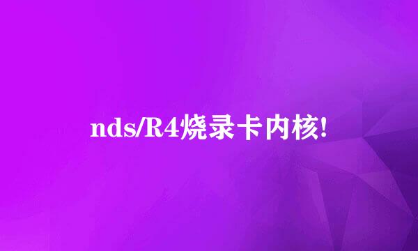 nds/R4烧录卡内核!