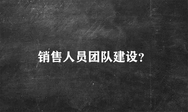 销售人员团队建设？