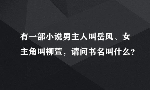 有一部小说男主人叫岳风、女主角叫柳萱，请问书名叫什么？