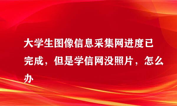 大学生图像信息采集网进度已完成，但是学信网没照片，怎么办