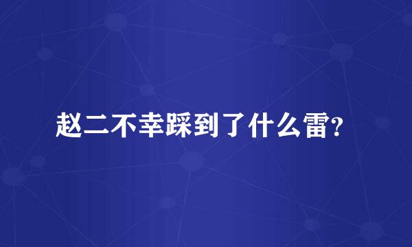 赵二不幸踩到了什么雷？