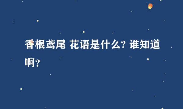 香根鸢尾 花语是什么? 谁知道啊？