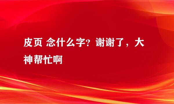 皮页 念什么字？谢谢了，大神帮忙啊