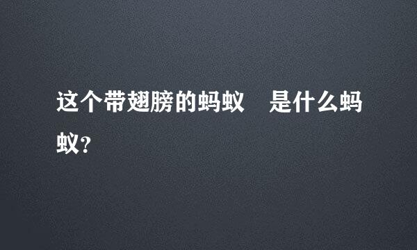 这个带翅膀的蚂蚁🐜是什么蚂蚁？