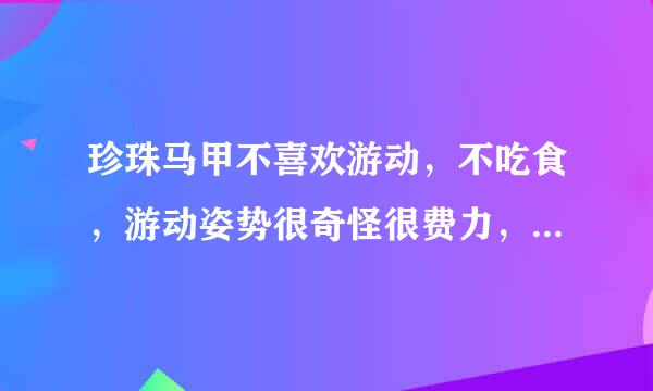 珍珠马甲不喜欢游动，不吃食，游动姿势很奇怪很费力，游到水面呼吸时要呼吸好几口，身上珍珠纹变深，