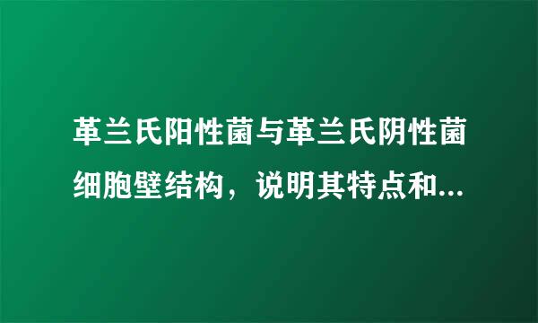 革兰氏阳性菌与革兰氏阴性菌细胞壁结构，说明其特点和化学组成的区别