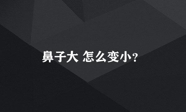 鼻子大 怎么变小？