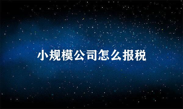 小规模公司怎么报税