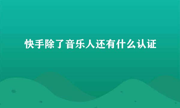 快手除了音乐人还有什么认证