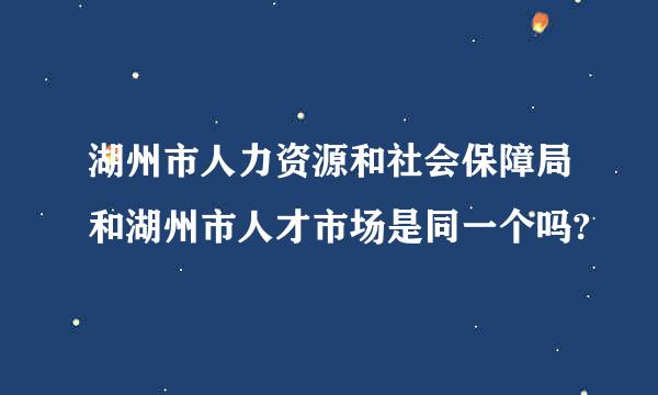 湖州市人力资源和社会保障局和湖州市人才市场是同一个吗?