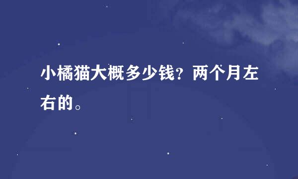 小橘猫大概多少钱？两个月左右的。