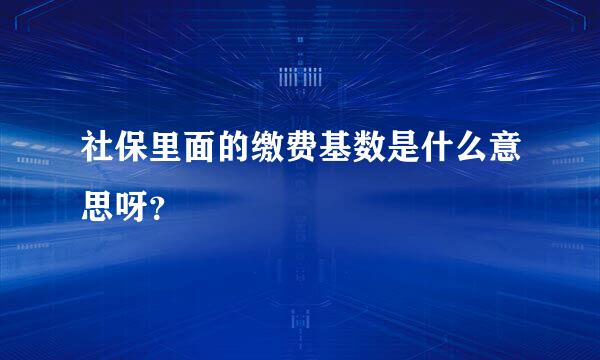 社保里面的缴费基数是什么意思呀？