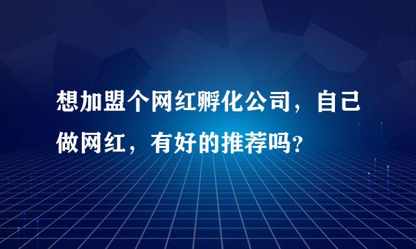 想加盟个网红孵化公司，自己做网红，有好的推荐吗？