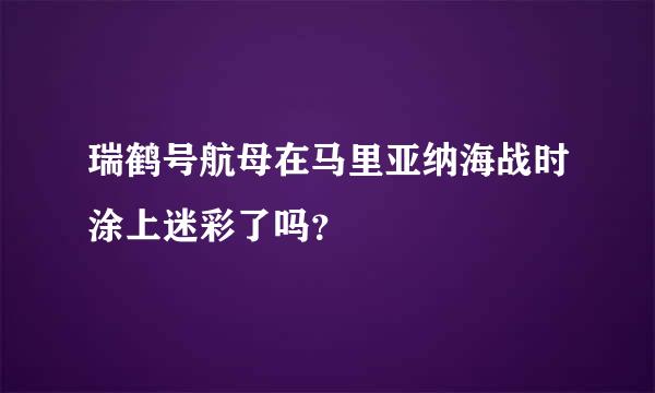 瑞鹤号航母在马里亚纳海战时涂上迷彩了吗？