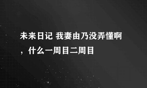 未来日记 我妻由乃没弄懂啊，什么一周目二周目