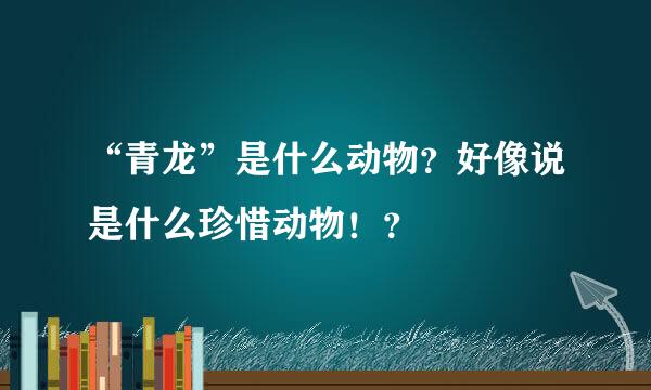 “青龙”是什么动物？好像说是什么珍惜动物！？