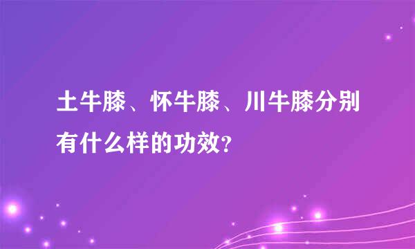 土牛膝、怀牛膝、川牛膝分别有什么样的功效？