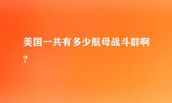 美国一共有多少航母战斗群啊?