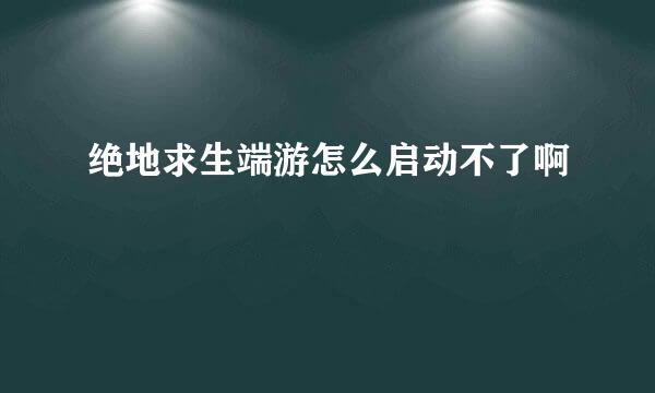 绝地求生端游怎么启动不了啊