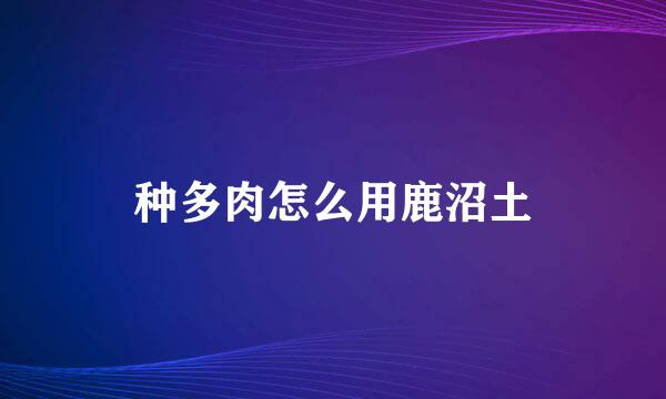 种多肉怎么用鹿沼土