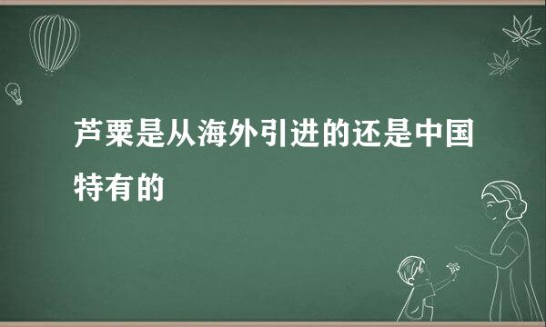 芦粟是从海外引进的还是中国特有的