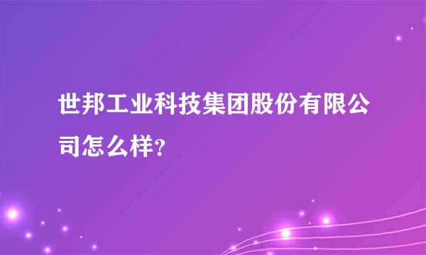 世邦工业科技集团股份有限公司怎么样？