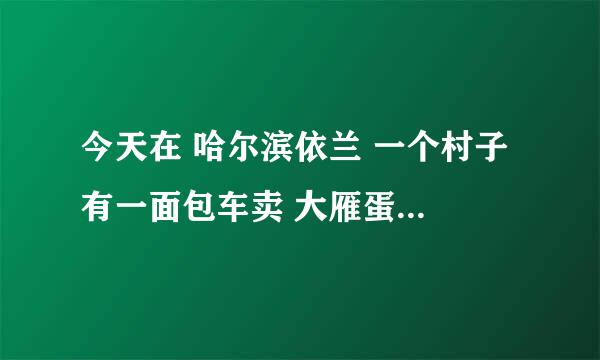 今天在 哈尔滨依兰 一个村子 有一面包车卖 大雁蛋 一元一个 白色 和鸡蛋大小