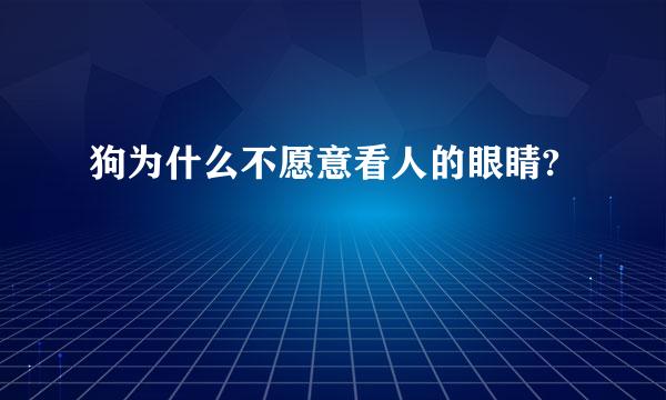 狗为什么不愿意看人的眼睛?