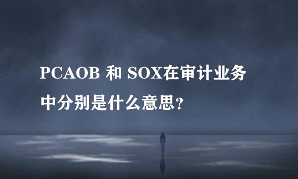 PCAOB 和 SOX在审计业务中分别是什么意思？