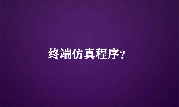 终端仿真程序？