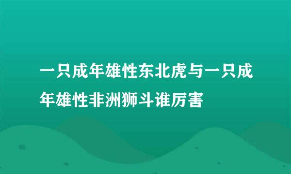 一只成年雄性东北虎与一只成年雄性非洲狮斗谁厉害