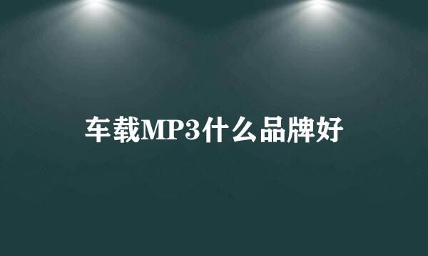 车载MP3什么品牌好