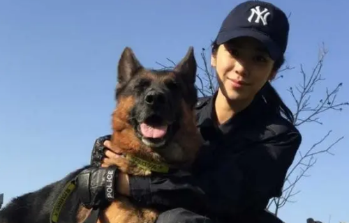 为什么《警花与警犬2》不上映？