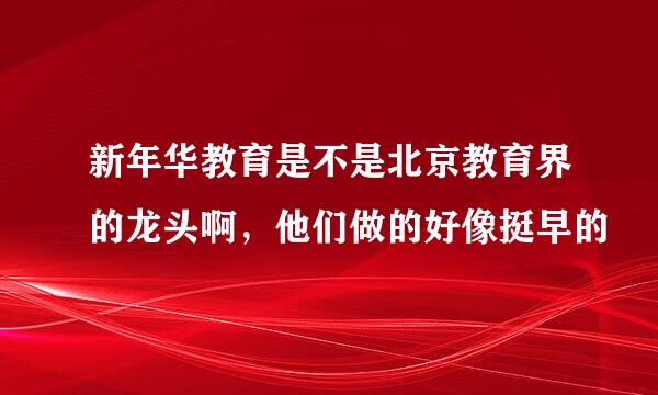 新年华教育是不是北京教育界的龙头啊，他们做的好像挺早的