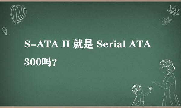 S-ATA II 就是 Serial ATA 300吗？