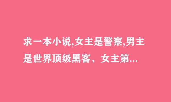 求一本小说,女主是警察,男主是世界顶级黑客，女主第一次见男主时，男