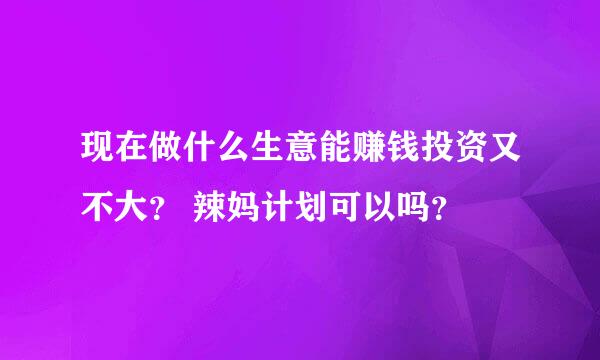 现在做什么生意能赚钱投资又不大？ 辣妈计划可以吗？