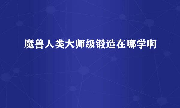 魔兽人类大师级锻造在哪学啊